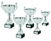 Silver Presentation Cup with Handles