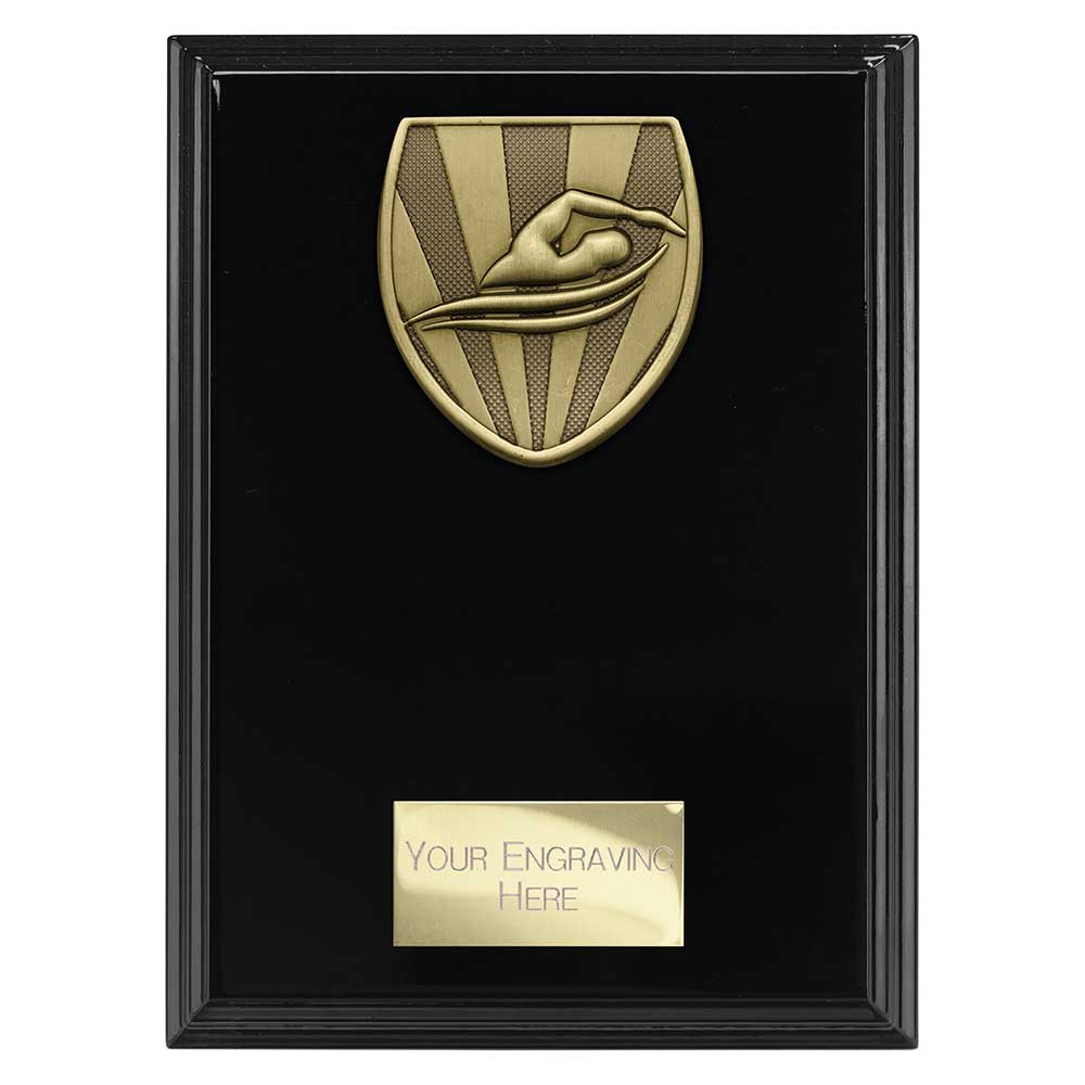 Cobra Plaque Swimming Award