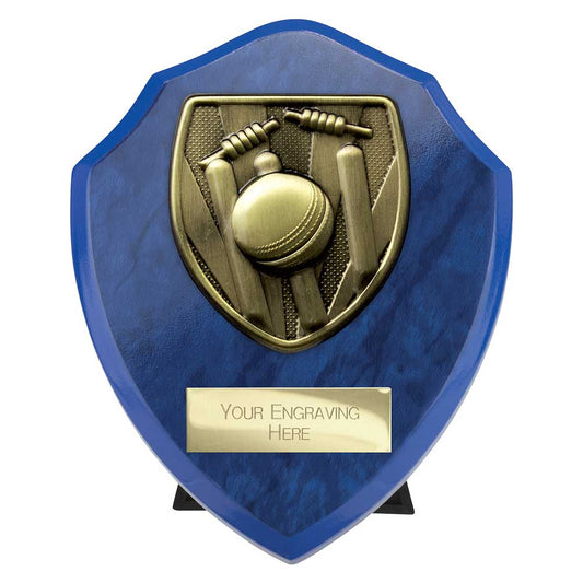 Cobra Shield Cricket Award