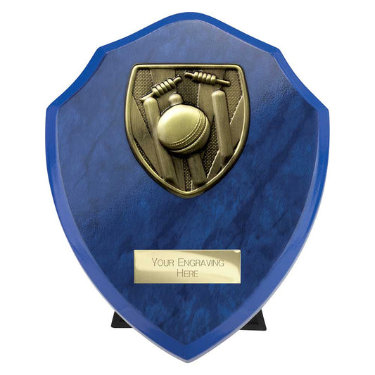 Cobra Shield Cricket Award