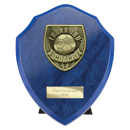 Cobra Shield Thank you Coach Award Azure Blue