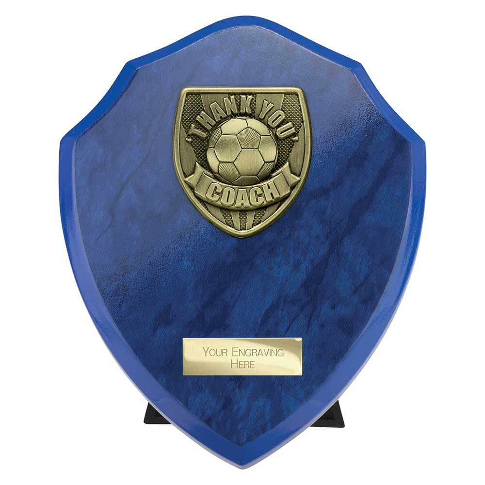 Cobra Shield Thank you Coach Award Azure Blue