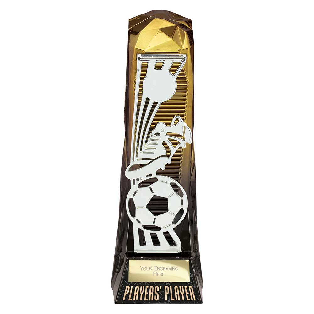 Shard Football Players Player Award