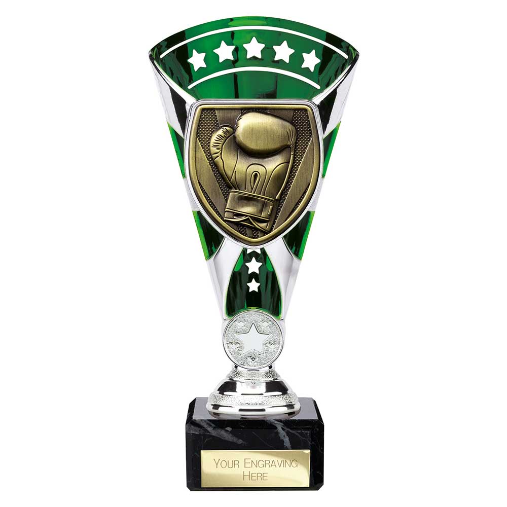 Cobra Star Cup Boxing