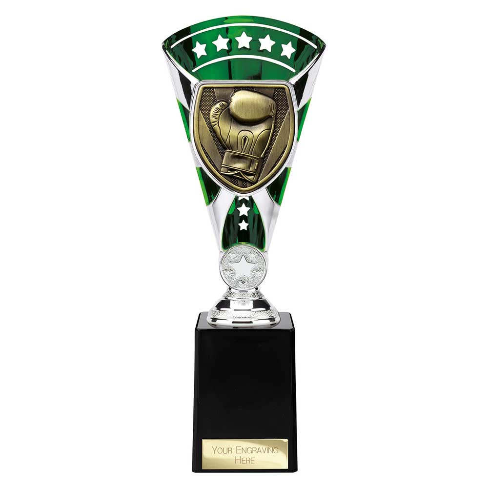 Cobra Star Cup Boxing