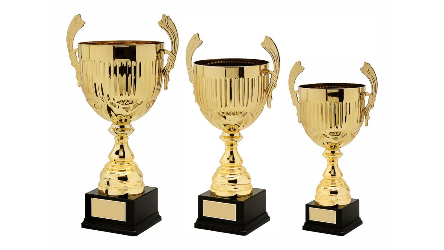 Gold Presentation Cup With Handles