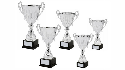 Silver Presentation Cup With Handles