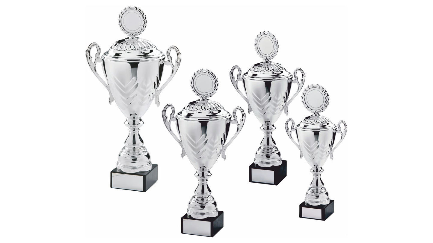 Silver Presentation Cup with Lid