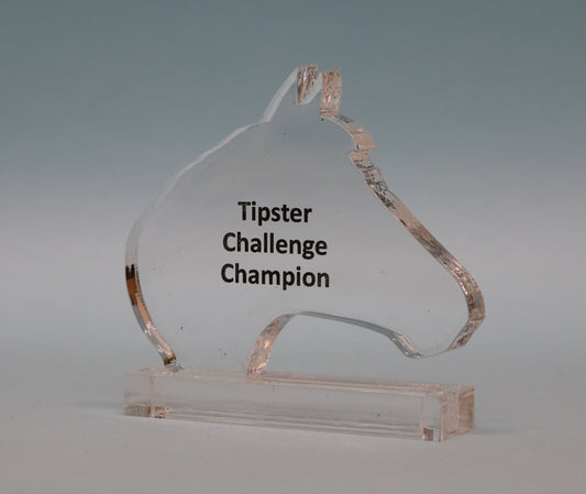 Acrylic Horse Head Award - 3 Sizes