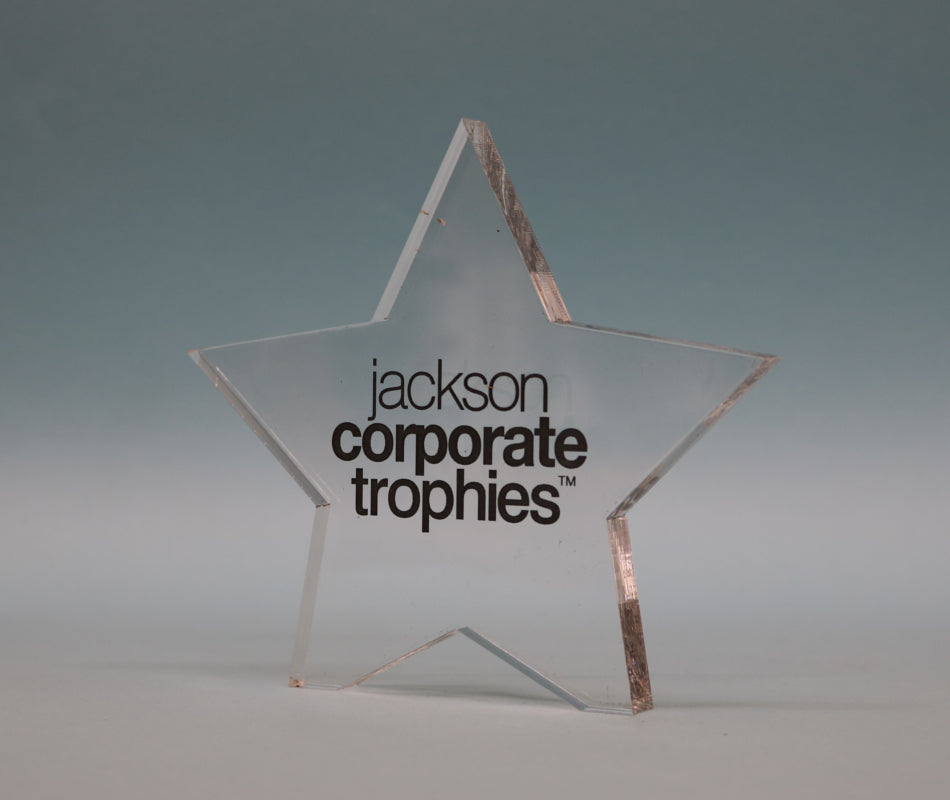 Freestanding Acrylic Star Award - 3 Sizes