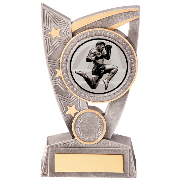 Triumph Kickboxing Award