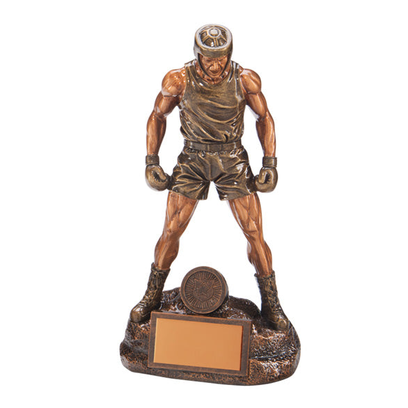 Ultimate Boxing Award - Available in 4 Sizes