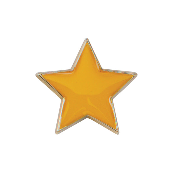 Scholar Pin Badge Star