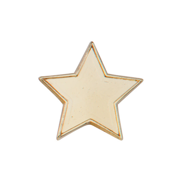 Scholar Pin Badge Star