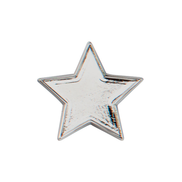 Scholar Pin Badge Star