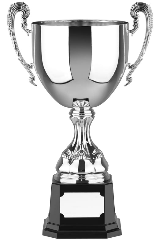 Euro Trophy Award - 5 Sizes