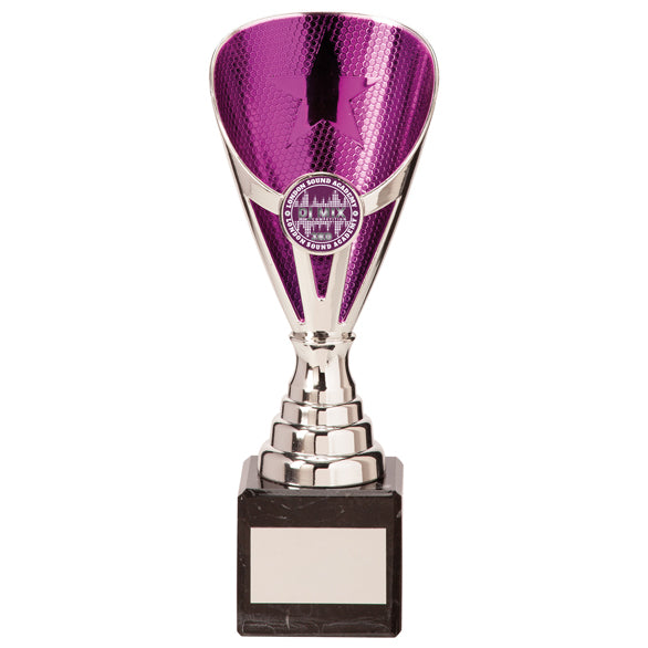 Rising Stars Premium Plastic Trophy
