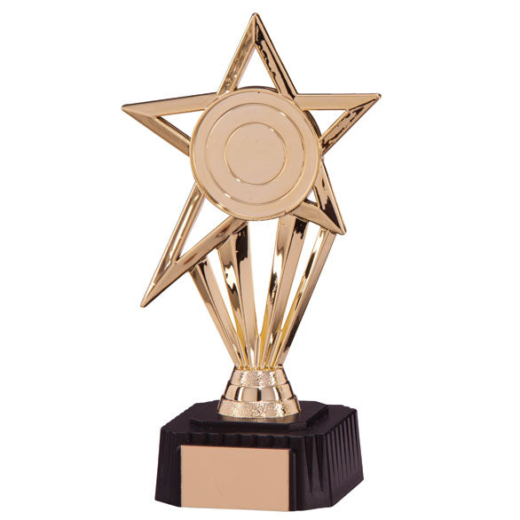 High Star Gold Award