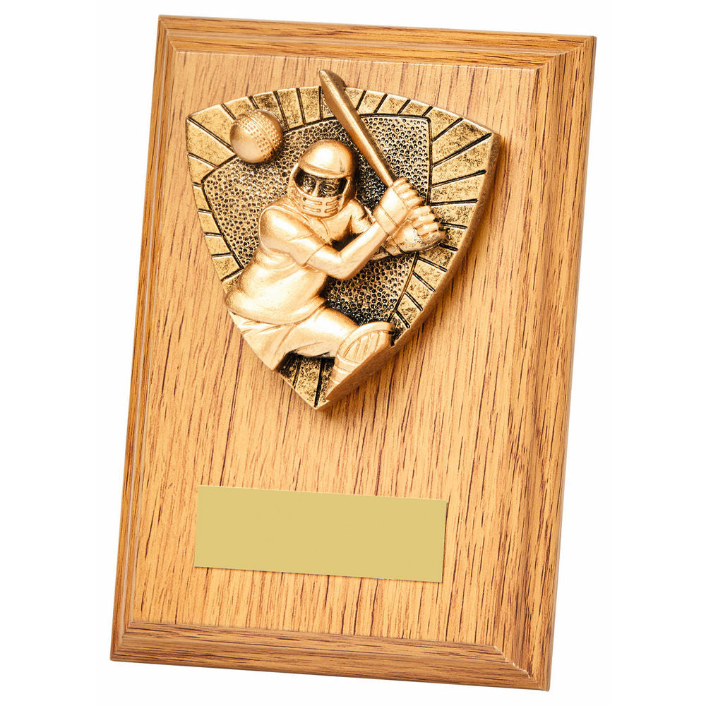 Cricket Batsman Wood Plaque - 2 Sizes