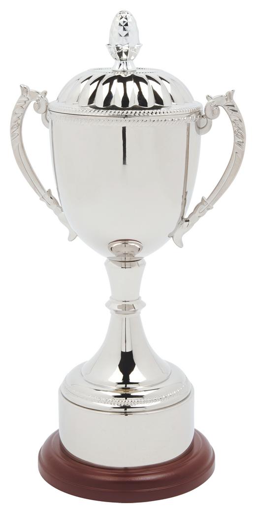 Nickel Plated Trophy Cup With Plinth Band