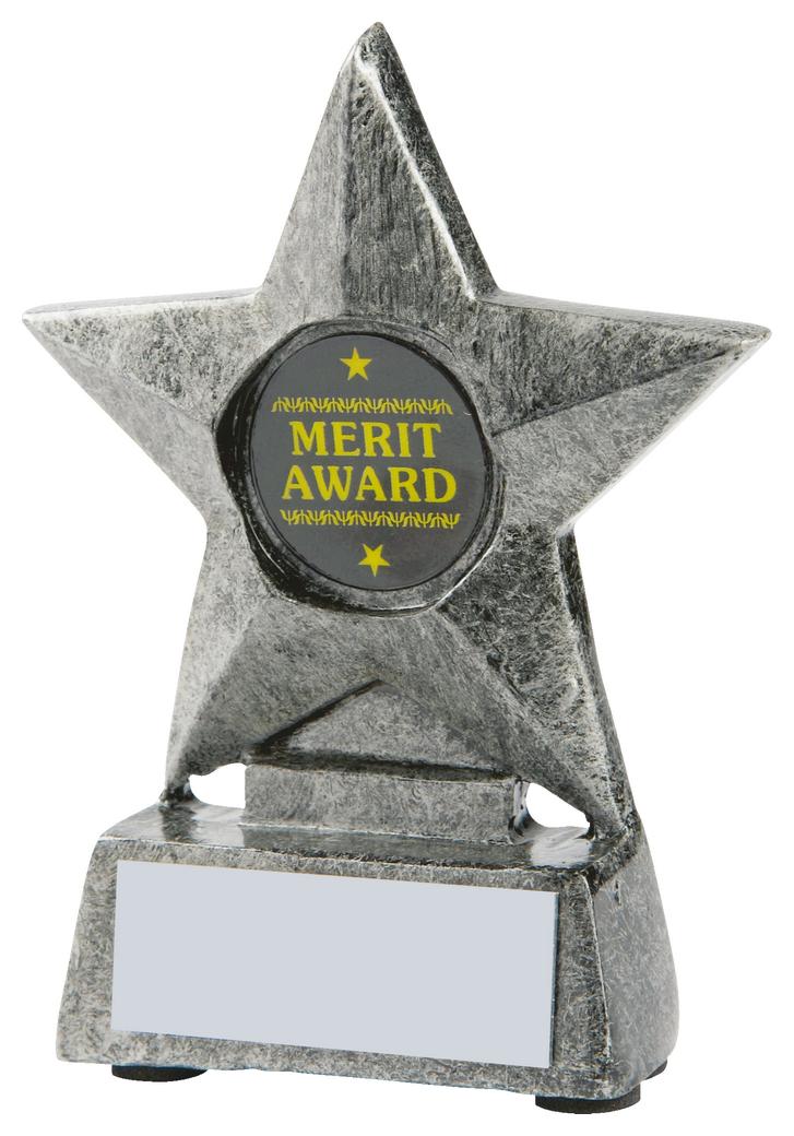 Resin Star Award In Gold