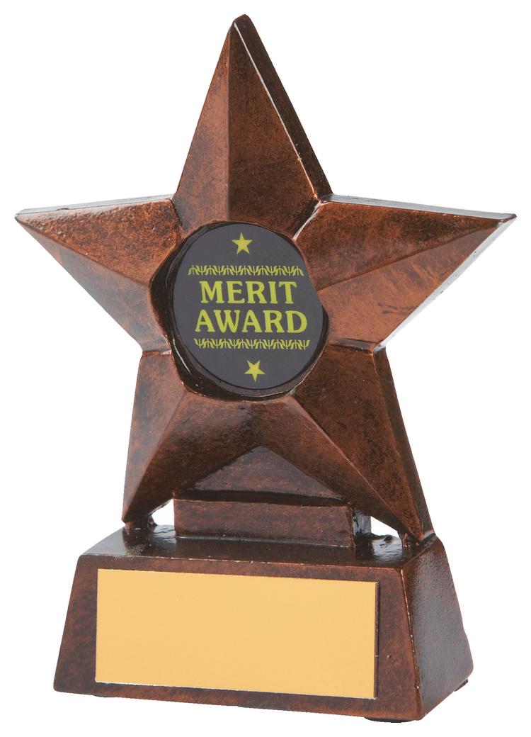 Resin Star Award In Gold