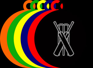 50mm Acrylic Cricket Medal