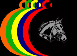 50mm Acrylic Equestrian Medal