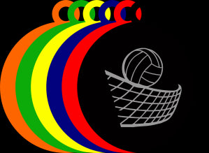 50mm Acrylic Volleyball Medal