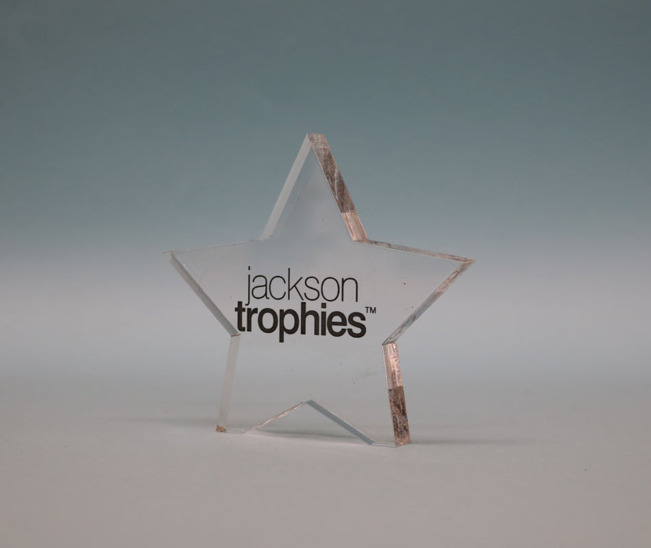 Freestanding Acrylic Star Award - 3 Sizes