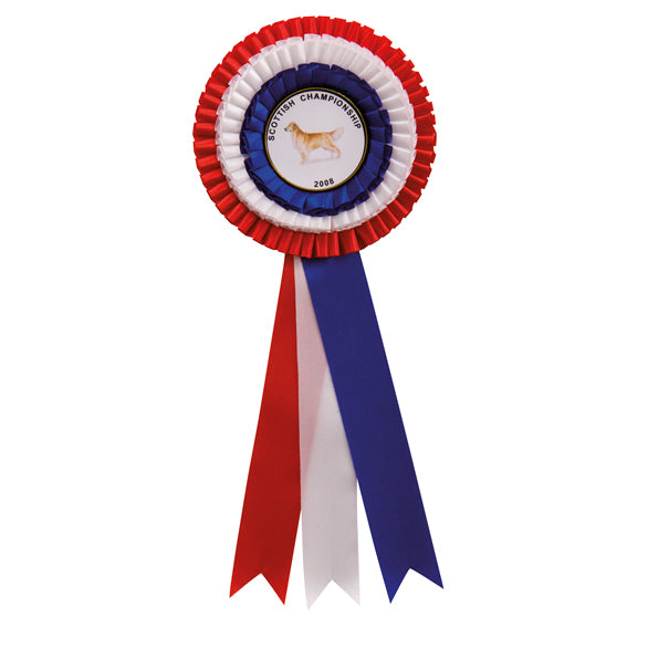 Red White & Blue Rosette 305mm