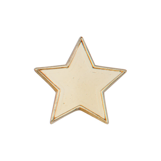 Scholar Pin Badge Star
