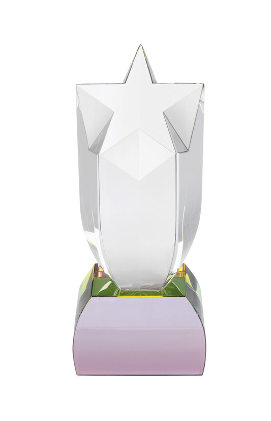 LG 18cm Swatkins Optical Crystal Star Award