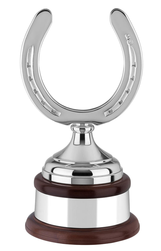 43cm Equestrian Award
