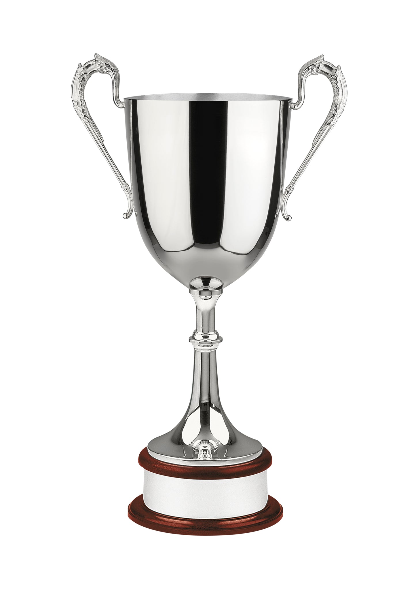 64.5cm Colossal Nickel Plated Award