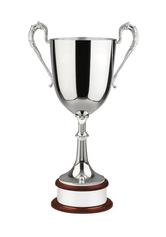 64.5cm Colossal Nickel Plated Award