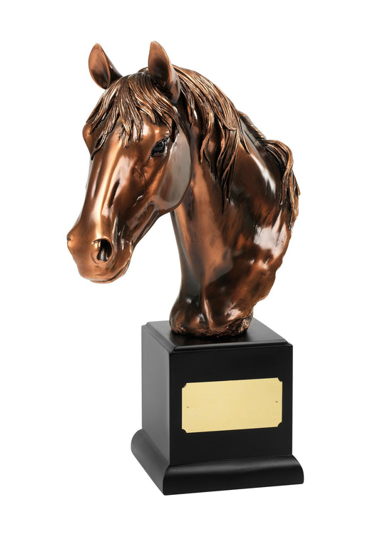 14 x25cm Brnz Plated Horses Head 3