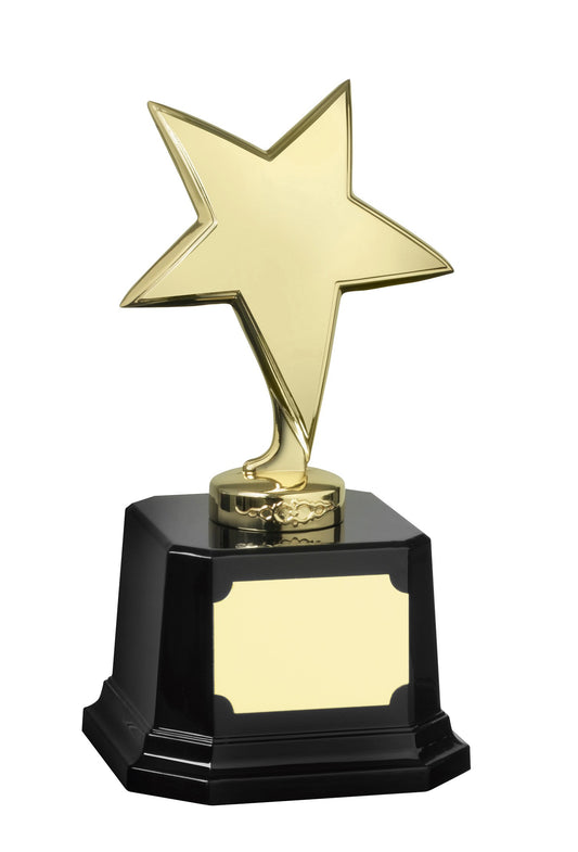 MB-EACH (P) 23cm Gold Finish Star Award
