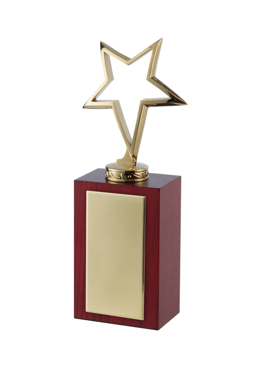 MB 23cm Star Award