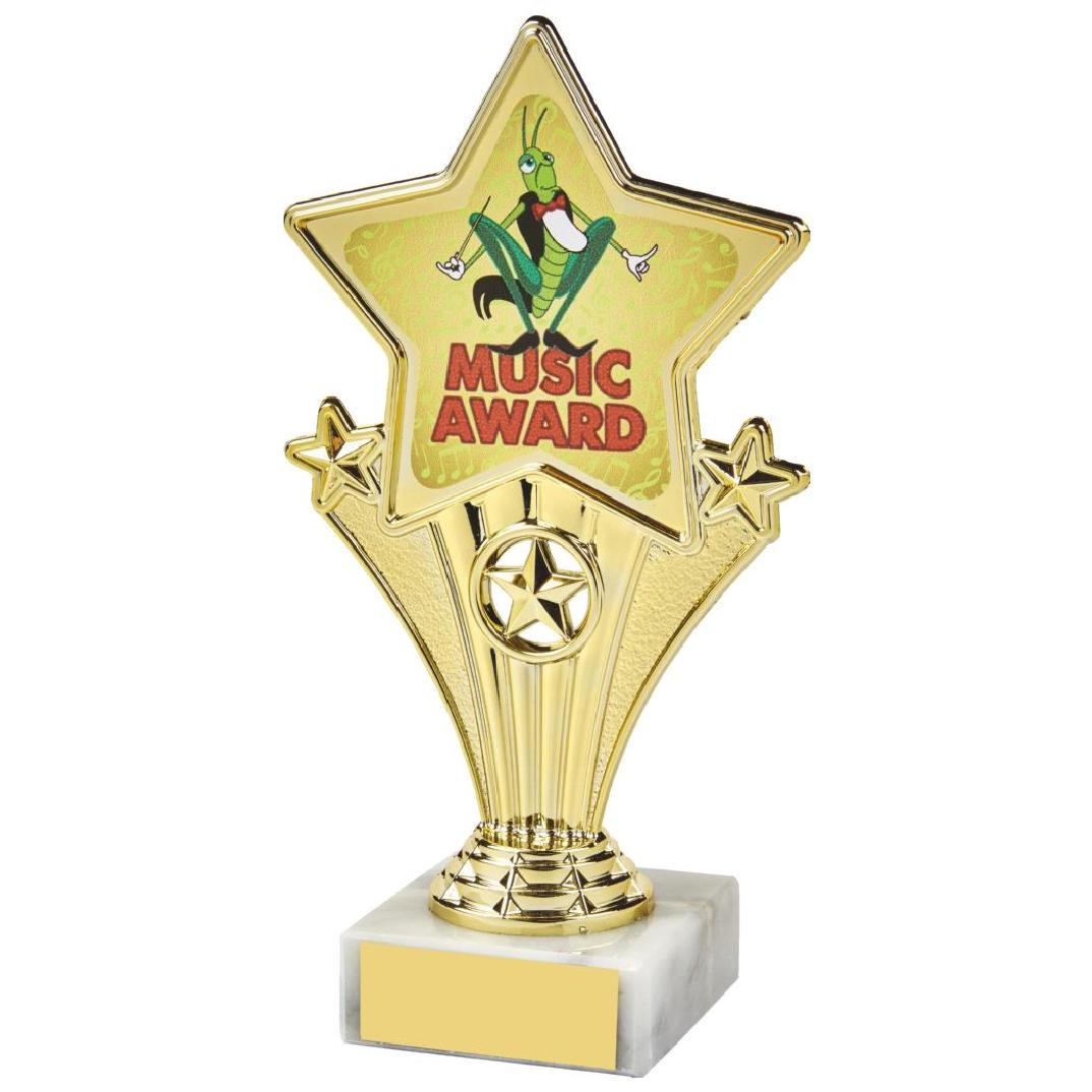 17cm Fun Customisable Star Awards