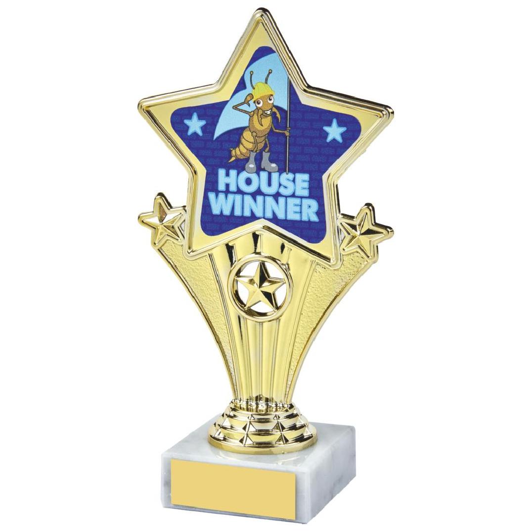 17cm Fun Customisable Star Awards