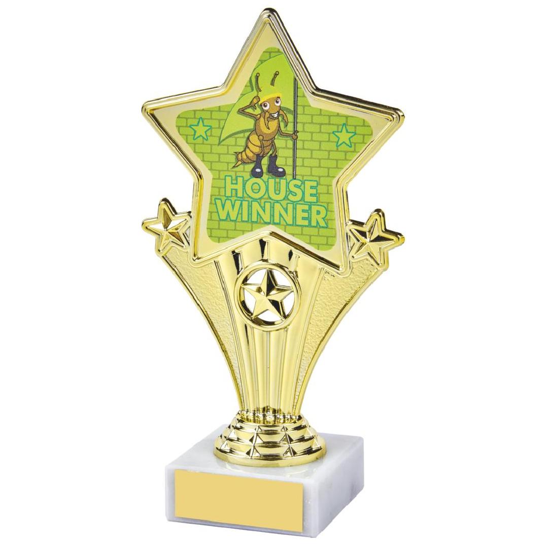 17cm Fun Customisable Star Awards