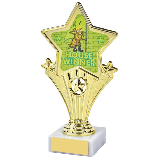 17cm Fun Customisable Star Awards