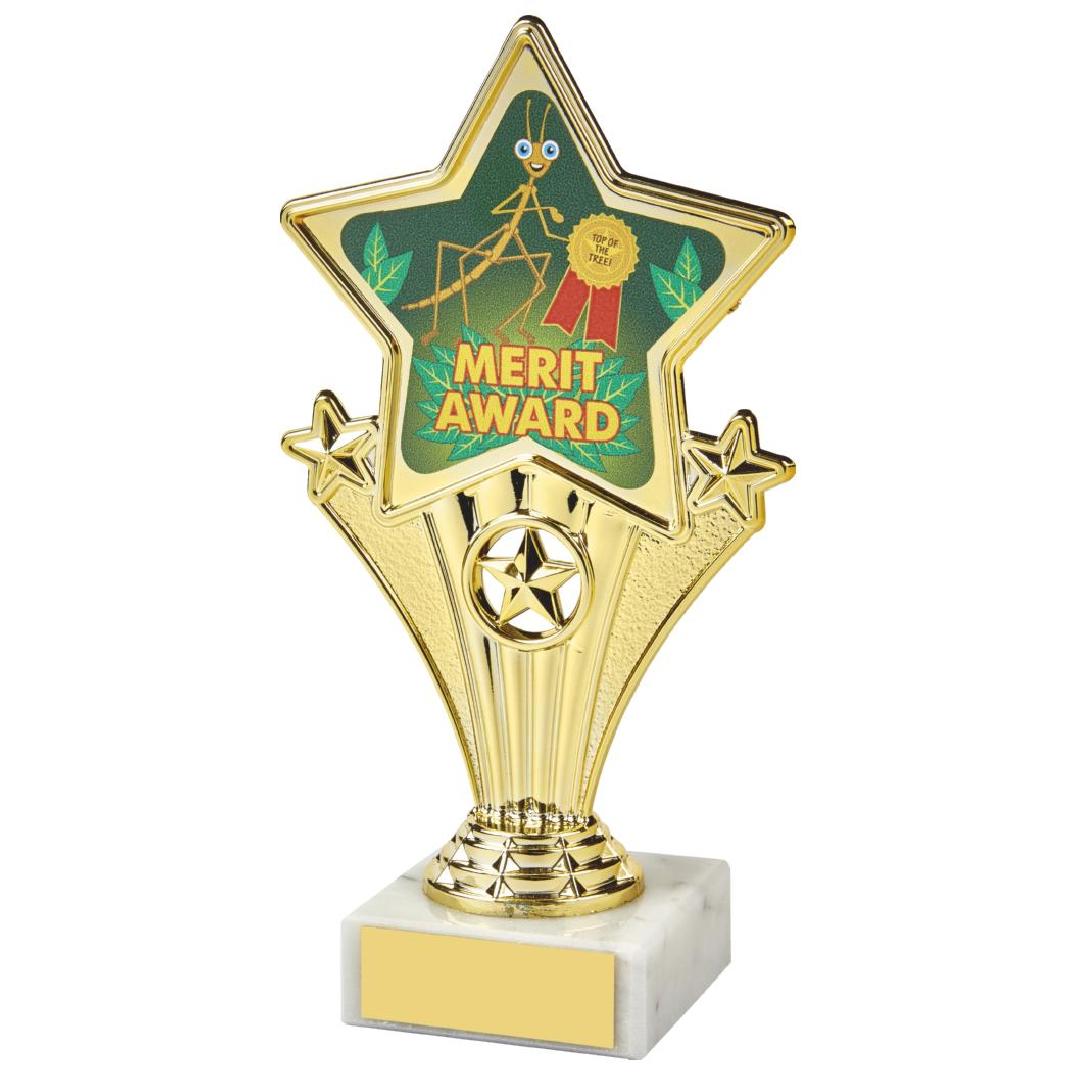 17cm Fun Customisable Star Awards