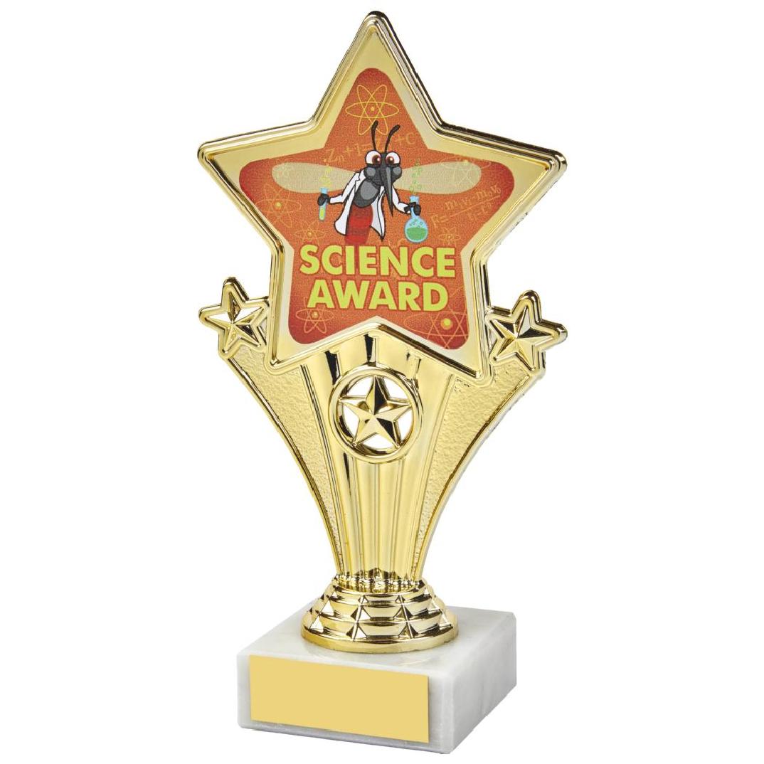 17cm Fun Customisable Star Awards