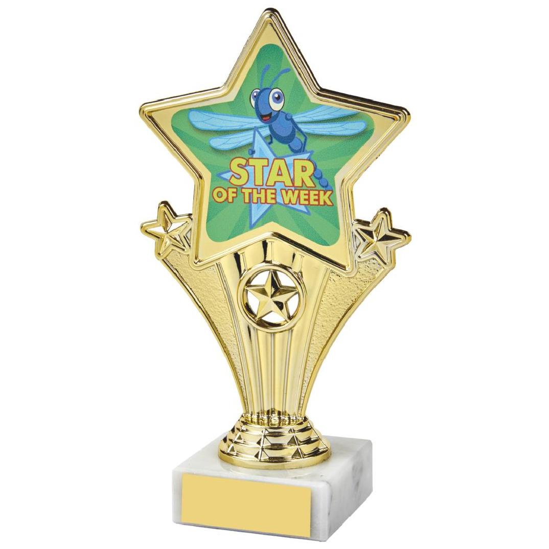 17cm Fun Customisable Star Awards