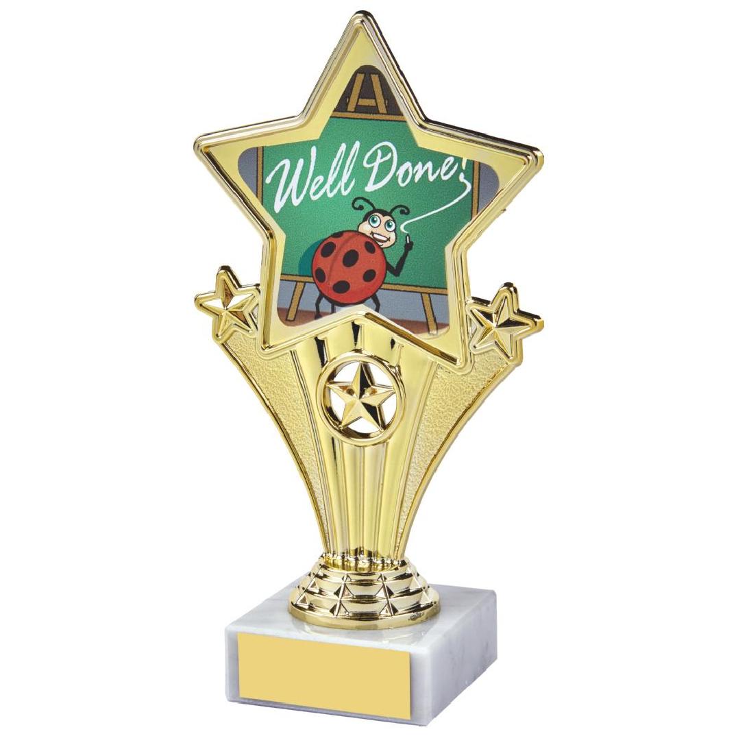 17cm Fun Customisable Star Awards
