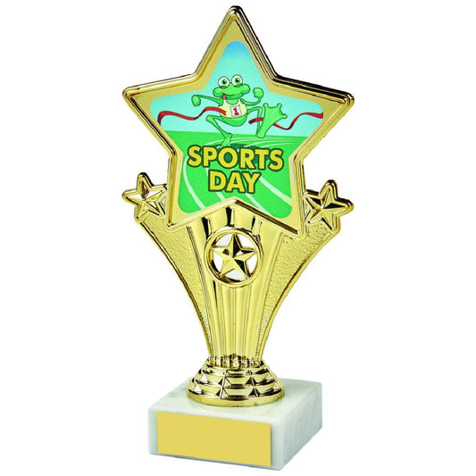 17cm Fun Customisable Star Awards