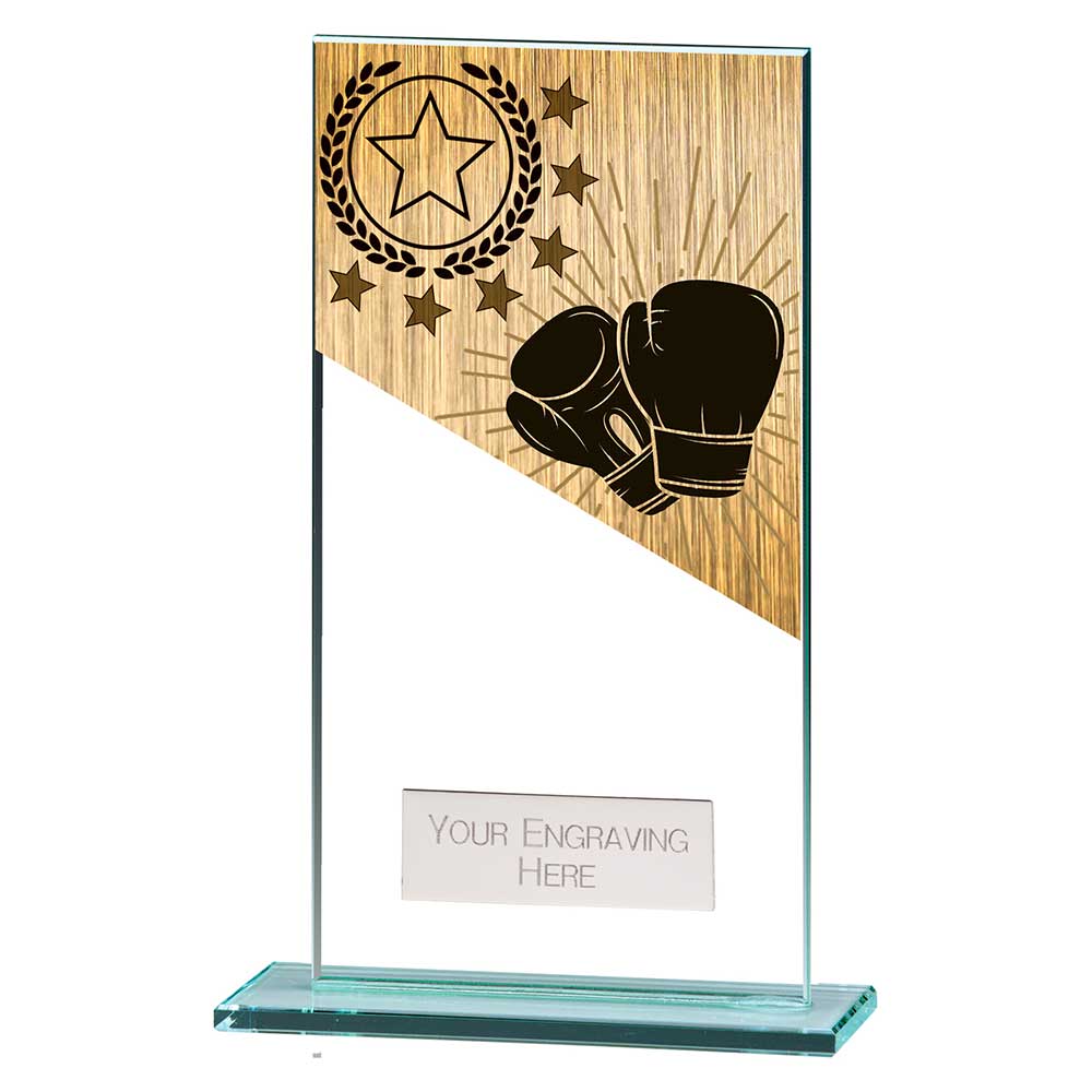 Mustang Boxing Jade Glass Award