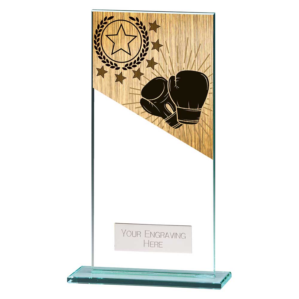 Mustang Boxing Jade Glass Award